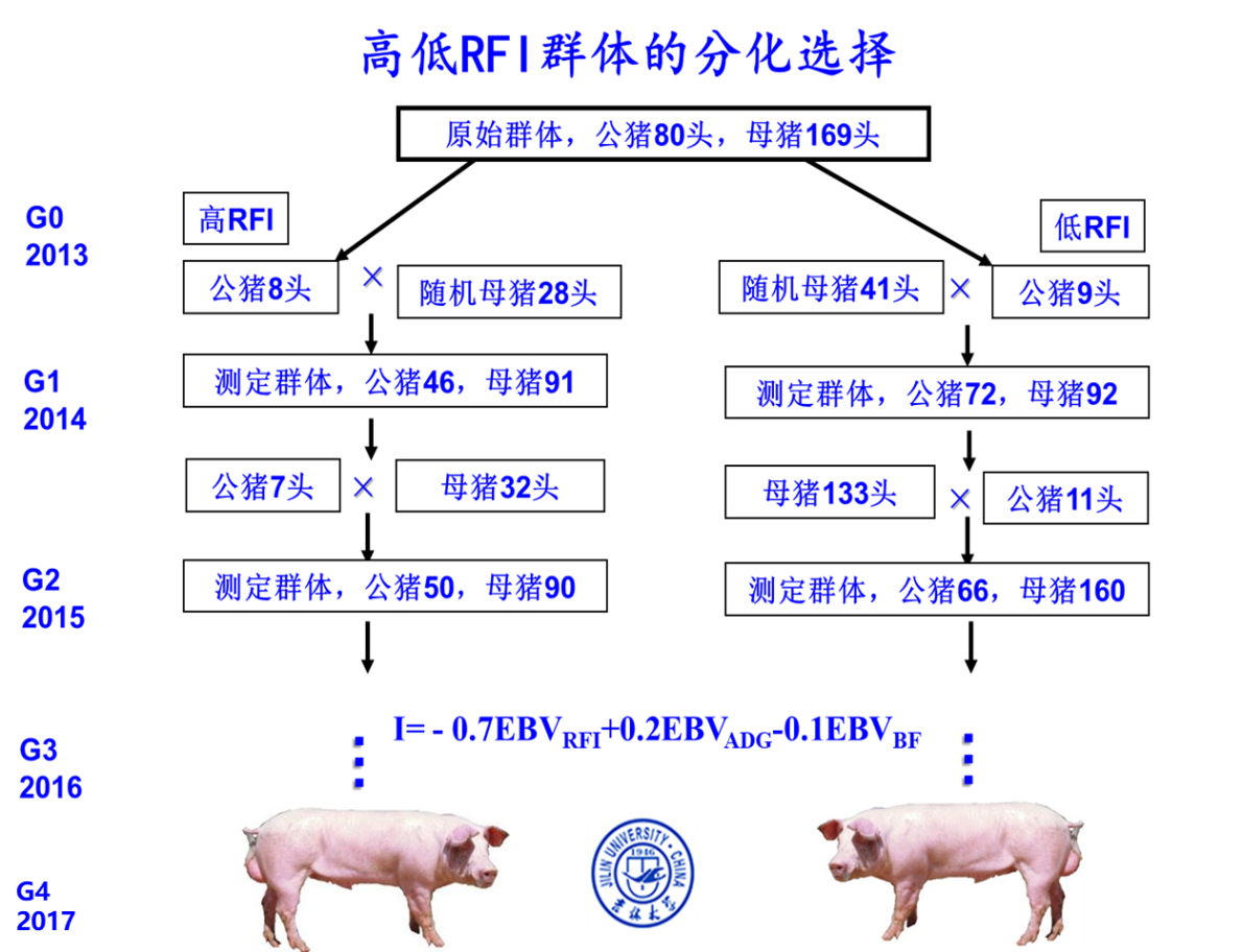 图片9.png