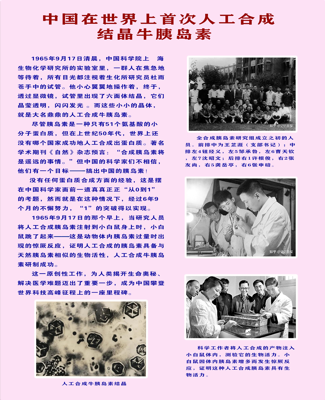 196509展板  制作10.png
