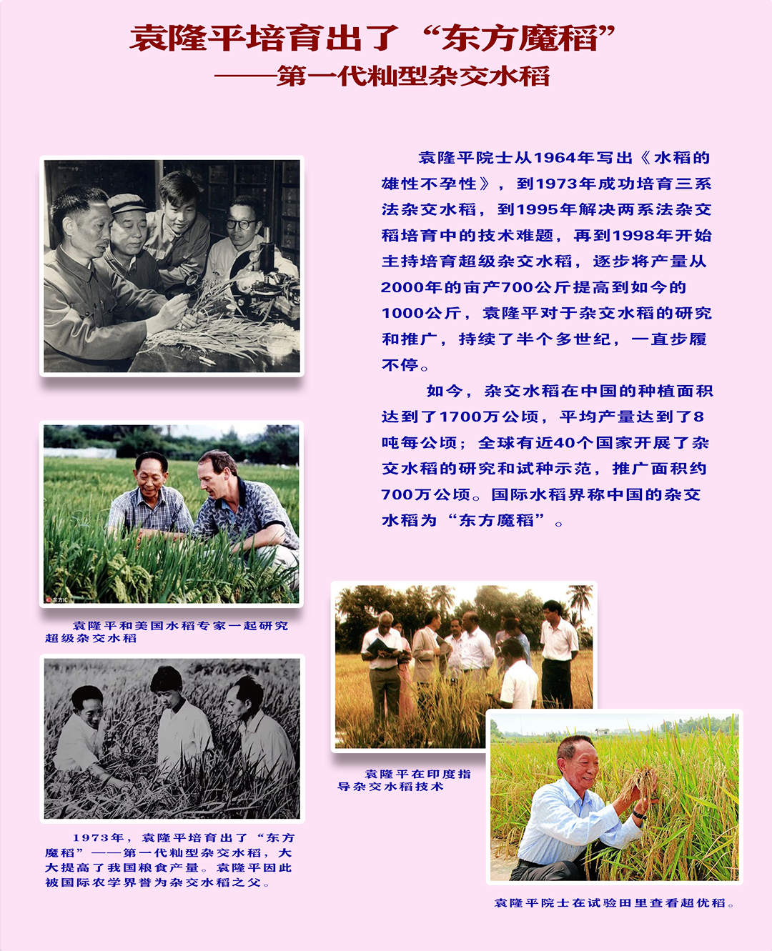 197301展板  制作15.png